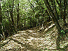 k04_074_thumb.png
