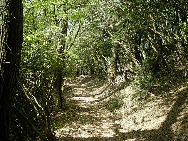 k04_075.jpg