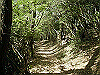 k04_075_thumb.png