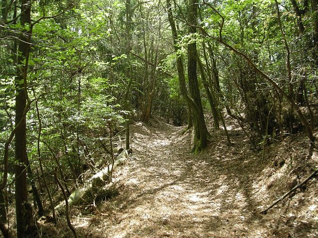 k04_076.jpg