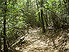 k04_076_thumb.png
