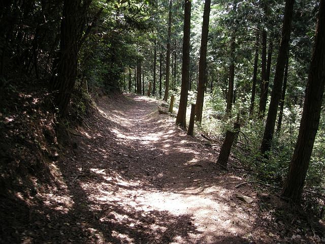 k04_077.jpg