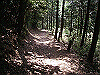 k04_077_thumb.png