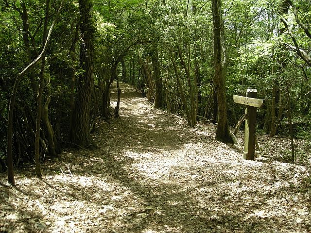 k04_079.jpg