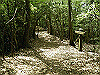 k04_079_thumb.png