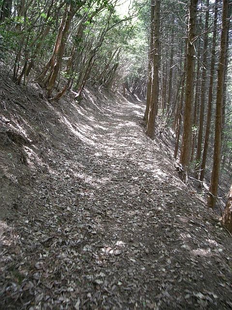 k04_080.jpg