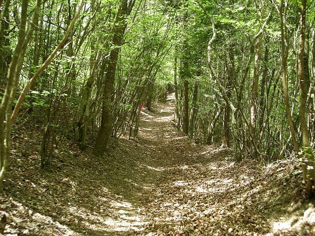 k04_081.jpg
