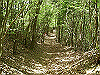k04_081_thumb.png