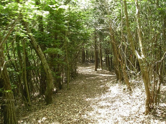 k04_082.jpg