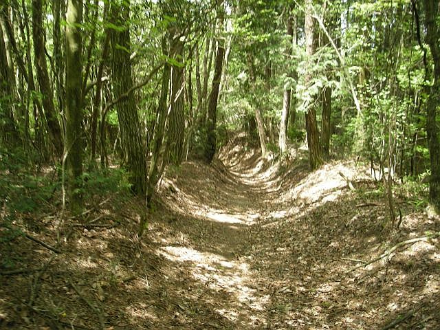 k04_083.jpg