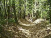 k04_083_thumb.png