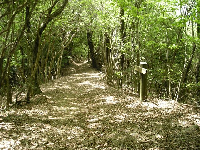 k04_084.jpg