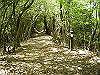 k04_084_thumb.png