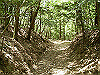 k04_085_thumb.png