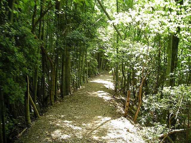 k04_086.jpg