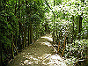 k04_086_thumb.png