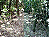 k04_087_thumb.png