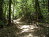 k04_093_thumb.png