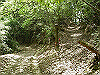 k04_094_thumb.png