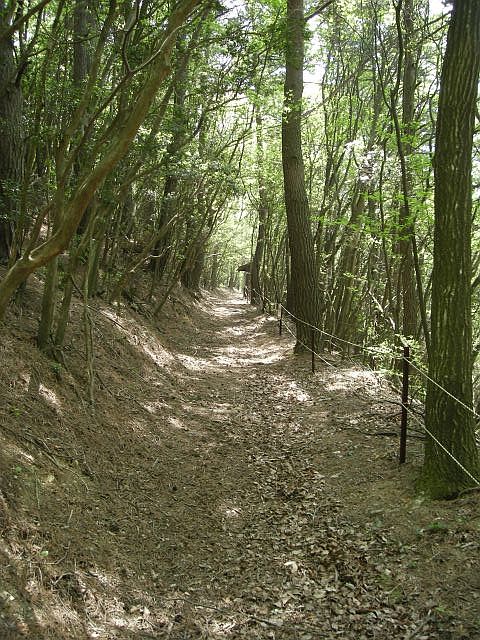 k04_095.jpg