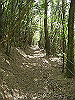 k04_095_thumb.png