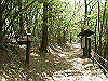 k04_096_thumb.png