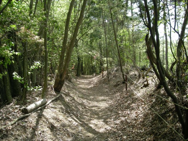 k04_098.jpg