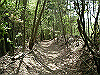 k04_098_thumb.png