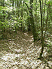 k04_099_thumb.png