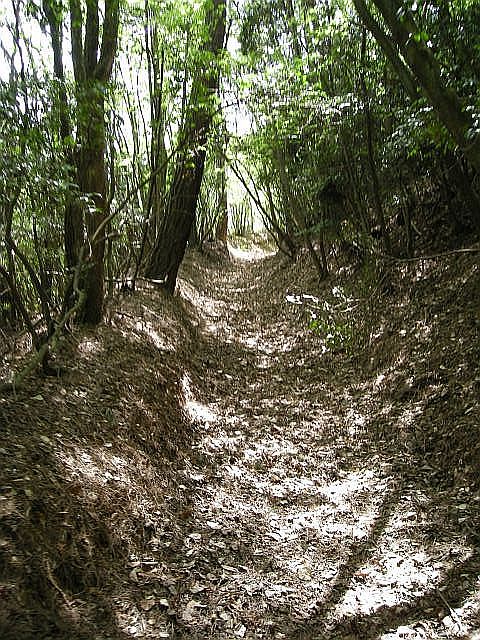k04_100.jpg