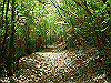 k04_101_thumb.png