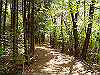 k04_102_thumb.png