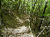 k04_103_thumb.png