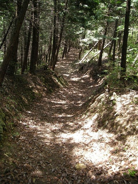 k04_104.jpg