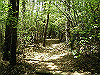 k04_105_thumb.png