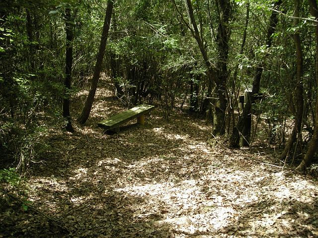k04_106.jpg