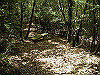 k04_106_thumb.png