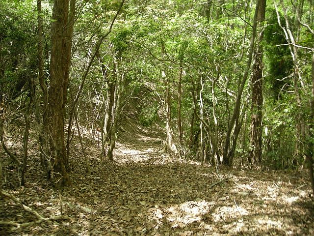 k04_107.jpg
