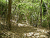 k04_107_thumb.png