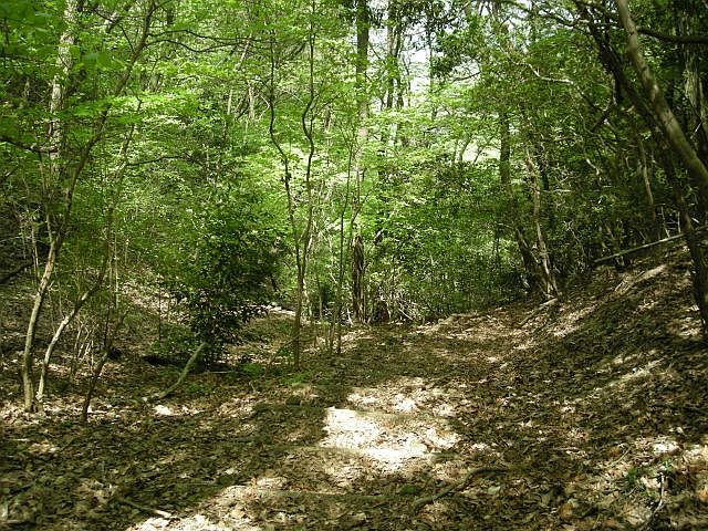 k04_108.jpg