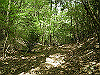 k04_108_thumb.png