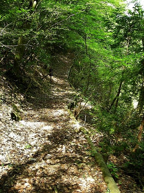 k04_109.jpg