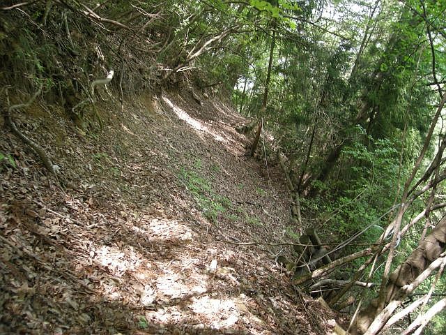 k04_110.jpg