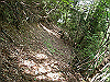 k04_110_thumb.png