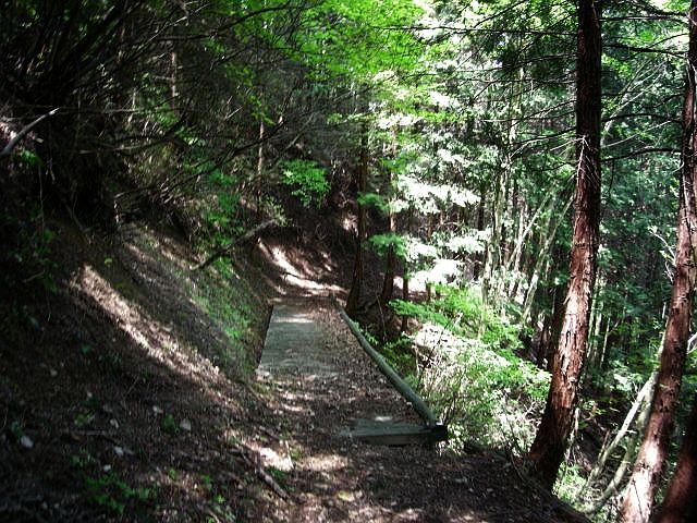 k04_111.jpg