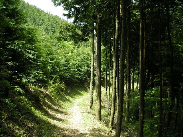 k04_112.jpg