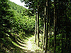 k04_112_thumb.png