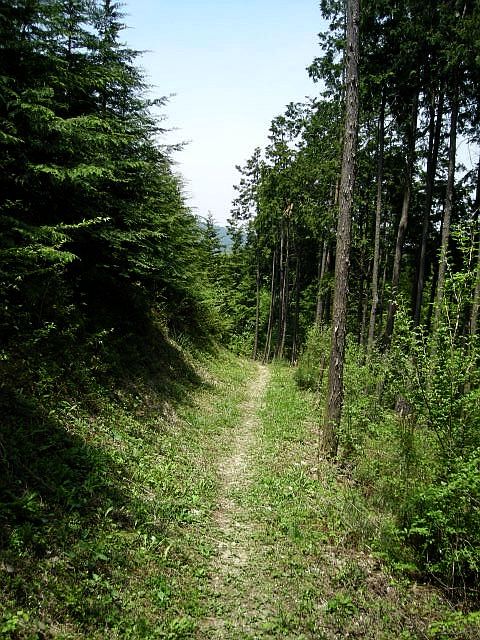 k04_113.jpg