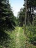 k04_113_thumb.png
