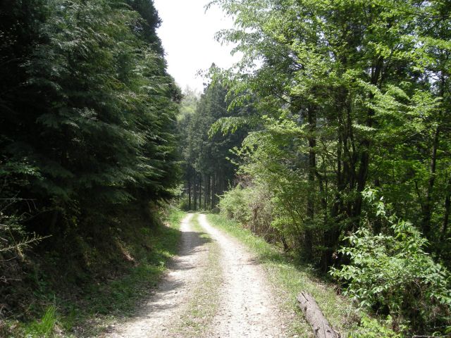 k04_116.jpg